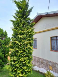 vENDA - RESIDÊNCIA - BAIRRO NOVA RÚSSIA – CHÁCARA MADALENA 