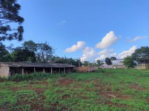 LOCAÇÃO - ÁREA DE TERRENO - BAIRRO CARÁ -CARÁ - VILA SÃO FRANCISCO 