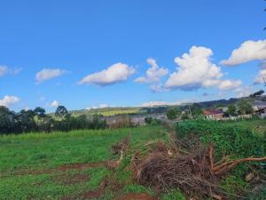 LOCAÇÃO - ÁREA DE TERRENO - BAIRRO CARÁ -CARÁ - VILA SÃO FRANCISCO 