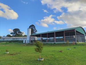 LOCAÇÃO - ÁREA DE TERRENO - BAIRRO CARÁ -CARÁ - VILA SÃO FRANCISCO 