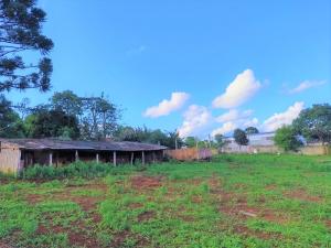 LOCAÇÃO - ÁREA DE TERRENO - BAIRRO CARÁ -CARÁ - VILA SÃO FRANCISCO 