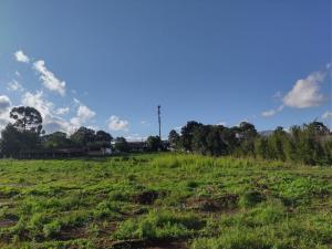LOCAÇÃO - ÁREA DE TERRENO - BAIRRO CARÁ -CARÁ - VILA SÃO FRANCISCO 