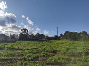LOCAÇÃO - ÁREA DE TERRENO - BAIRRO CARÁ -CARÁ - VILA SÃO FRANCISCO 
