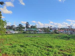 LOCAÇÃO - ÁREA DE TERRENO - BAIRRO CARÁ -CARÁ - VILA SÃO FRANCISCO 