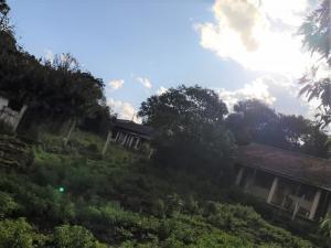 LOCAÇÃO - ÁREA DE TERRENO - BAIRRO CARÁ -CARÁ - VILA SÃO FRANCISCO 