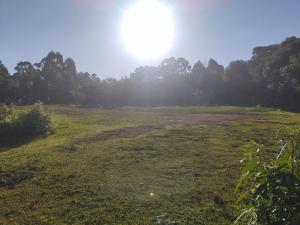 TERRENO - VENDA - BAIRRO UVARANAS - JARDIM CINTO VERDE