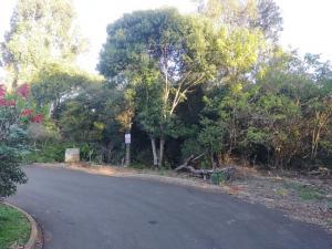 TERRENO - VENDA - BAIRRO UVARANAS - JARDIM CINTO VERDE