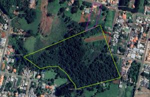 TERRENO - VENDA - BAIRRO UVARANAS - JARDIM CINTO VERDE