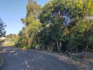 TERRENO - VENDA - BAIRRO UVARANAS - JARDIM CINTO VERDE