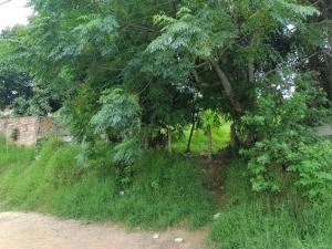 TERRENO - VENDA - BAIRRO ÓRFÃS - VILA LIANE 