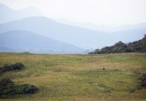 VENDA - TERRENO - CAMPO DOS PADRES