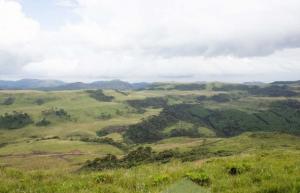 VENDA - TERRENO - CAMPO DOS PADRES
