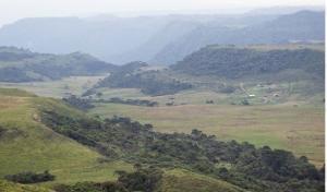 VENDA - TERRENO - CAMPO DOS PADRES