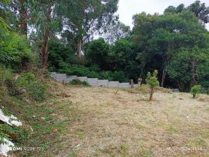 TERRENO - VENDA - BAIRRO OLARIAS - VILA BARRETO 